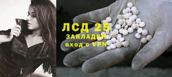 PSILOCYBIN Аркадак