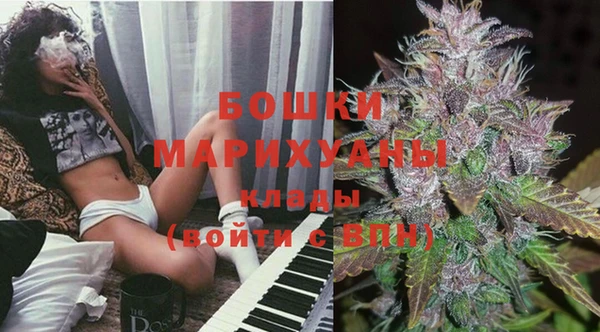 PSILOCYBIN Аркадак