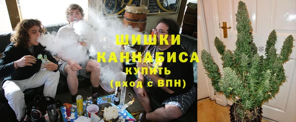 PSILOCYBIN Аркадак
