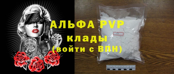 PSILOCYBIN Аркадак