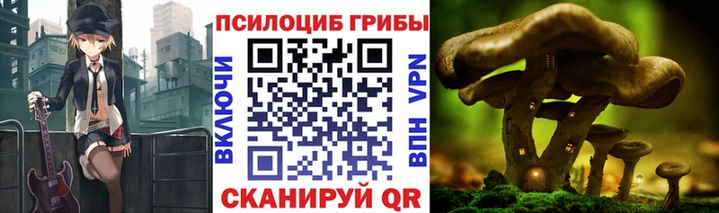 Псилоцибиновые грибы GOLDEN TEACHER ОМГ ОМГ онион Лодейное Поле
